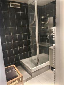 a bathroom with a shower and a bath tub at Le Grandthille in Chalons en Champagne