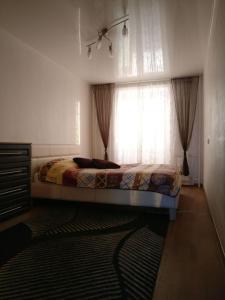 ノヴォシビルスクにあるSalvador Apartments on Vokzalnayaのベッドルーム1室(窓、ラグ付)