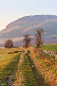 Naturlandschaft in der Nähe der Ferienwohnung