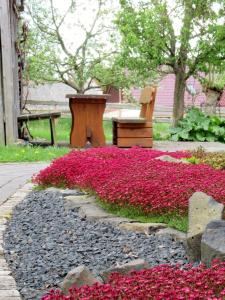 Ein Garten an der Unterkunft Qi Gong Haus