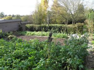 Fotografie z fotogalerie ubytování Le presbytère de Brectouville v destinaci Brectouville + 6 fotografií