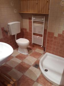 a bathroom with a toilet and a sink and a tub at Apartma pod Rožco in Jesenice +18 photos