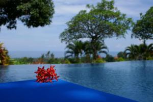 una flor roja sentada en el borde de una piscina en Puri Mangga Sea View Resort and Spa en Lovina