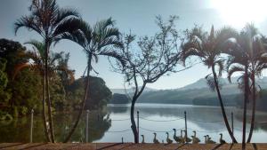 リンドーイアにあるPousada Encanto Das Aguasのヤシの木が茂る湖の景色 +21枚の写真