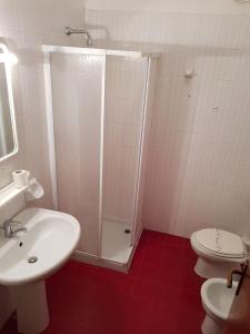 ein Bad mit einer Dusche, einem Waschbecken und einem WC in der Unterkunft Casa Bagatta in Desenzano del Garda