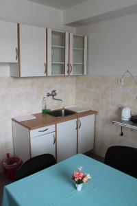 a kitchen with a sink and a table with a blue table at Hostel Turist in Zvolen
