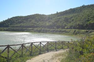 Φυσικό τοπίο κοντά σε αυτό το ξενοδοχείο