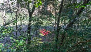 Vonkajšia záhrada v ubytovaní Camping Esponellà