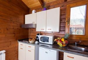 Kuchyňa alebo kuchynka v ubytovaní Camping Esponellà