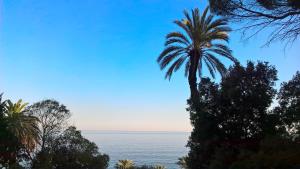 Gallery image of Hotel Sereno in Cogoleto +37 photos