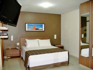 ein Hotelzimmer mit einem Bett und einem Flachbild-TV in der Unterkunft Bristol Evidence Hotel in Goiânia