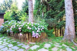 Um jardim no exterior de Villa with private pool and garden