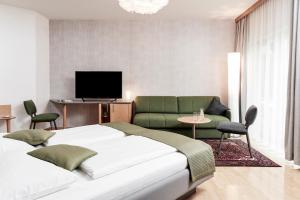 TV a/nebo společenská místnost v ubytování Hotel Birkenhof