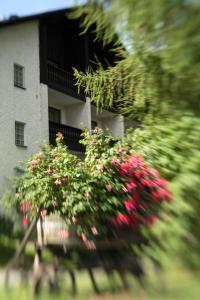 Galeriebild der Unterkunft Landhaus am Forst - Apartments in Bad Alexandersbad + 30 Fotos