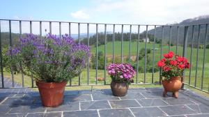 Ein Garten an der Unterkunft Casa Carballeira