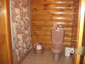 a bathroom with a toilet and a wooden wall at Serenity On The Lake in Auburn