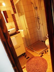 a bathroom with a shower and a toilet and a rug at László Nyaralóház in Balatonfenyves +43 photos