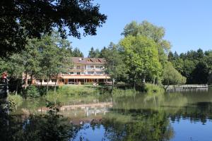 uma grande casa sentada ao lado de um lago em Hotel Salinensee em Bad Dürrheim