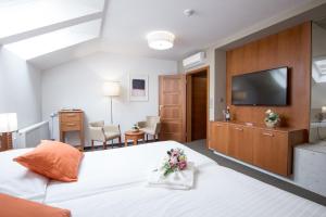 Habitación de hotel con cama y TV en la pared en Hotel Pod Věží, en Strážnice