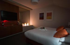Cama o camas de una habitación en Hotel Pod Věží