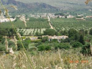 カステッルッツォにあるAgriturismo Castelluzzo Organic Farmの木々の谷の町並み