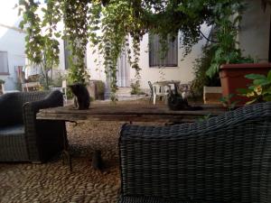 A seating area at Agriturismo Castelluzzo Organic Farm