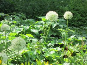 Billede fra billedgalleriet på Hotel Möllner Hof i Welt + 17 billeder