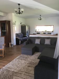 a living room with a couch and a table at Căsuța de sub pădure in Ampoiţa