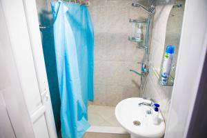 第比利斯Absolute Apartment的浴室设有蓝色的浴帘和水槽
