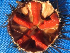 un dessert en forme de cœur avec du chocolat et des fraises dans l'établissement Villa Iviritiko, à Nea Roda