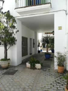 タリファにあるApartamento Gravina 3の鉢植えの中庭