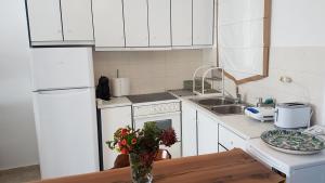 A kitchen or kitchenette at Nesaea Studio