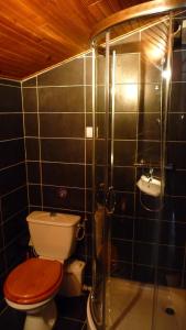 a bathroom with a toilet and a glass shower at Chez Babeth in Toulouse