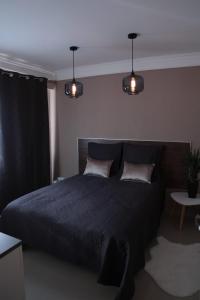 a bedroom with a large bed with two pillows at Stylish 2 Room Flat 60 meters to the beach in Nice