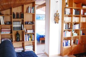 um quarto com prateleiras de livros cheias de livros em Chez Babeth em Toulouse