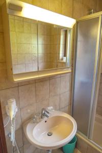 La salle de bains est pourvue d'un lavabo, d'un miroir et d'une douche. dans l'établissement Gasthof Podobnik, à Eisenkappel-Vellach