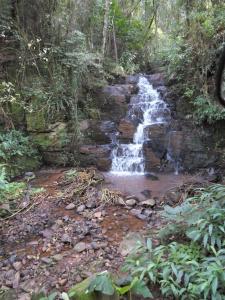 una cascada en medio de un bosque en Pousada Heritage Colonial, en Nova Petrópolis