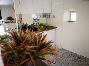 Kuchyň nebo kuchyňský kout v ubytování cres art studio kuning apartment