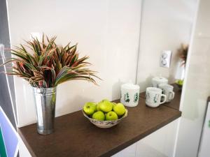 Fotografie z fotogalerie ubytování cres art studio kuning apartment v destinaci Cres