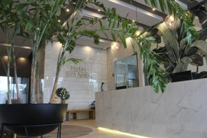 eine Lobby mit Topfpflanzen und einem Tisch in der Unterkunft Hotel Sexta Avenida Inn in Montería