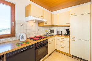A kitchen or kitchenette at Haus Margit