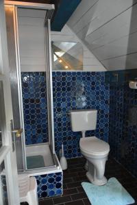 a blue tiled bathroom with a toilet and a shower at Hackerhof-Ostwohnung in Morsum