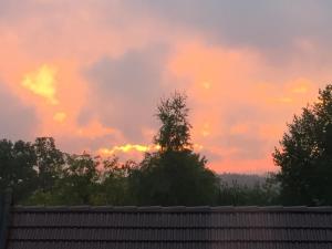 einen Sonnenuntergang am Himmel mit Bäumen und einem Zaun in der Unterkunft Nordwaldfarm in Waidhofen an der Thaya