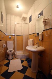 a bathroom with a shower and a toilet and a sink at Apartments Savina in Budva