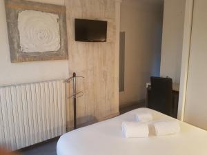 TV a/nebo společenská místnost v ubytování Logis Hôtel Restaurant les Charmettes