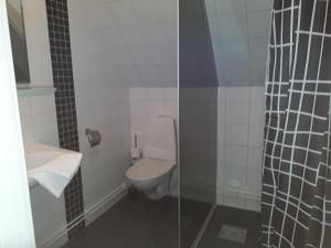 YngsjöにあるLinda Gårdのバスルーム(トイレ、ガラス張りのシャワー付)