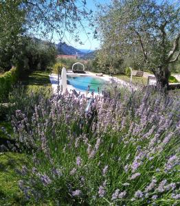 The swimming pool at or close to La cicala stonata
