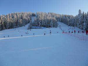 Flora Ski-slope Studio Apartment during the winter