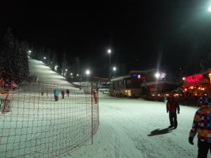 Flora Ski-slope Studio Apartment during the winter