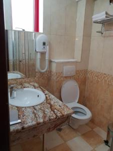 La salle de bains est pourvue d'un lavabo et de toilettes. dans l'établissement Pensiunea Ghiocela, à Motru